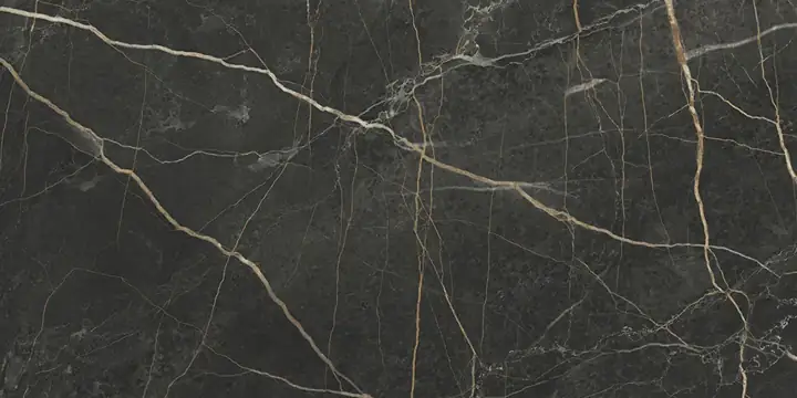 60x120 MarbleS Порт Лорен Лаппато R9