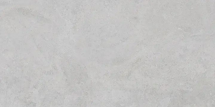 60x120 StoneS Боргония Клауд Серый Матовый R10A